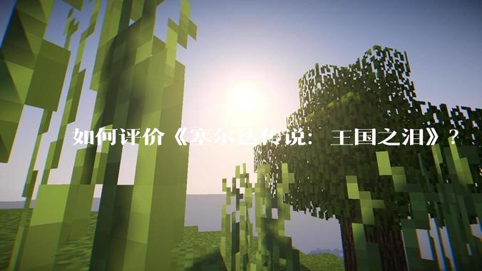 如何评价《塞尔达传说：王国之泪》？