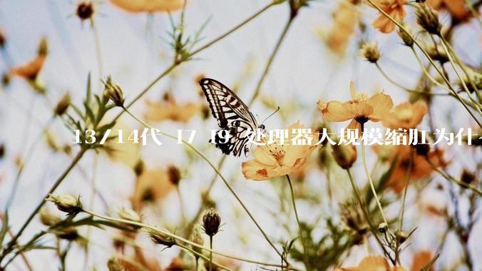 13/14代 i7 i9 处理器大规模缩肛为什么没有在老化测试时发现?