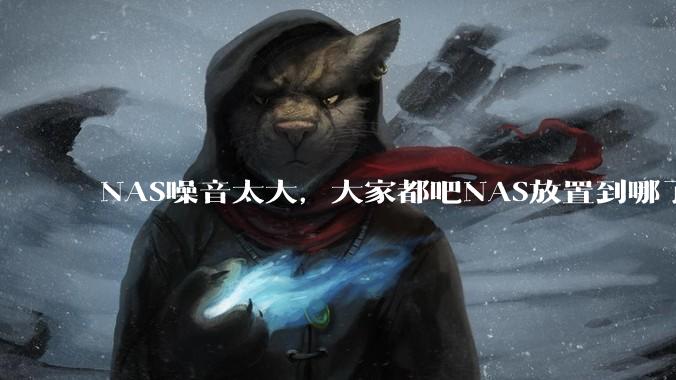 NAS噪音太大，大家都吧NAS放置到哪了？