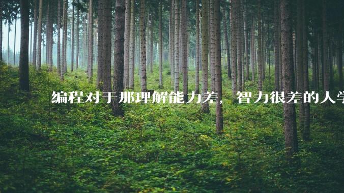 编程对于那理解能力差，智力很差的人学得会吗?