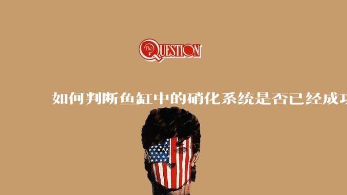 如何判断鱼缸中的硝化系统是否已经成功建立？
