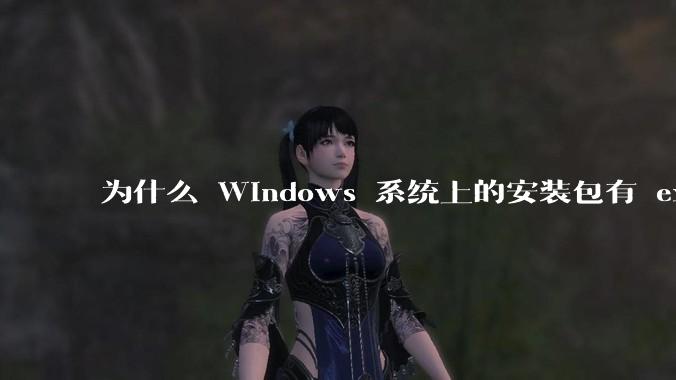 为什么 Windows 系统上的安装包有 exe 和 msi 两种格式，有什么区别？