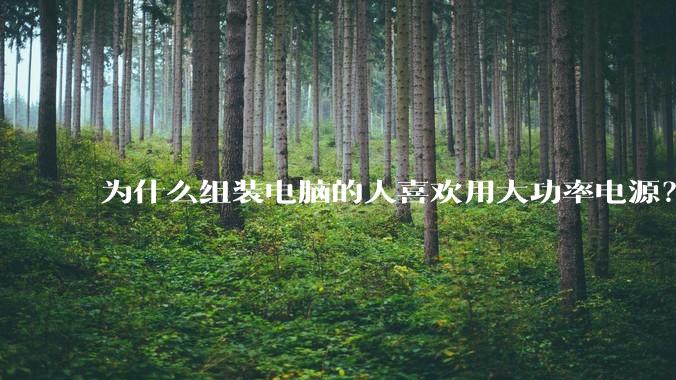 为什么组装电脑的人喜欢用大功率电源？