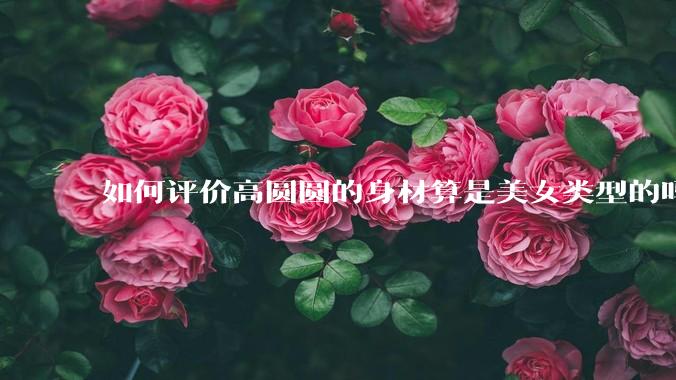 如何评价高圆圆的身材算是美女类型的吗？