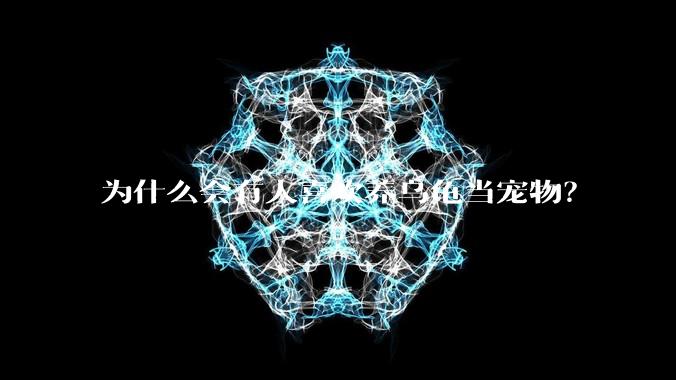 为什么会有人喜欢养乌龟当宠物？