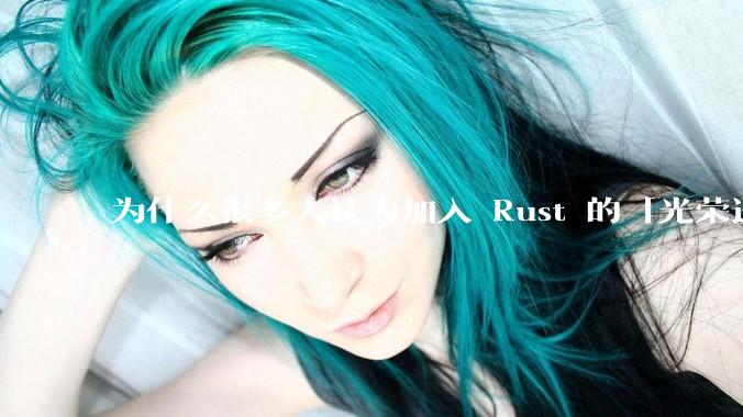为什么很多人认为加入 Rust 的「光荣进化」是一件坏事？