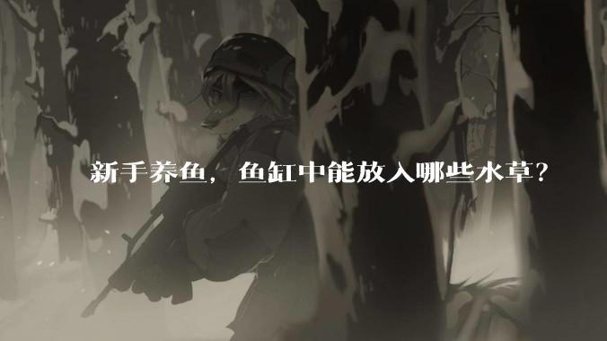 新手养鱼，鱼缸中能放入哪些水草？