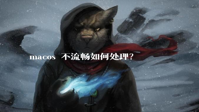 macos 不流畅如何处理？