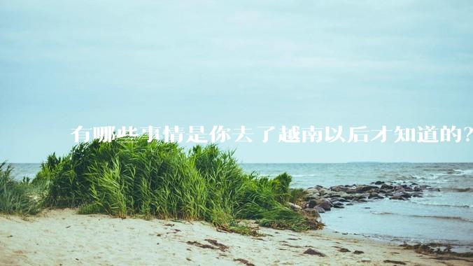 有哪些事情是你去了越南以后才知道的？
