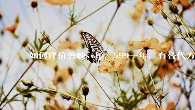 如何评价剪映svip，599一年，有替代方案吗？