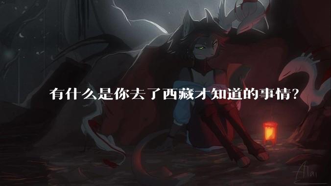 有什么是你去了西藏才知道的事情？