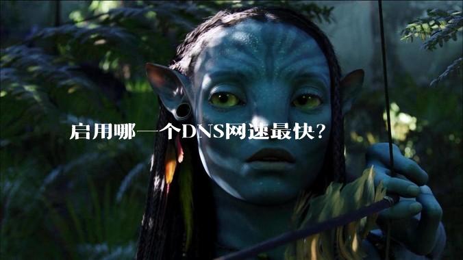 启用哪一个DNS网速最快？