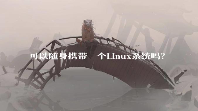 可以随身携带一个Linux系统吗？