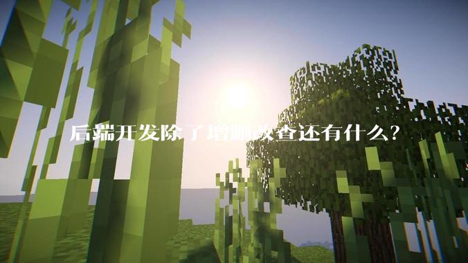 后端开发除了增删改查还有什么？