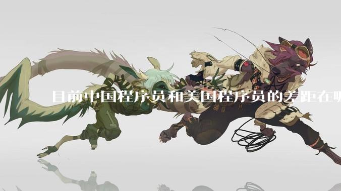 目前中国程序员和美国程序员的差距在哪里？