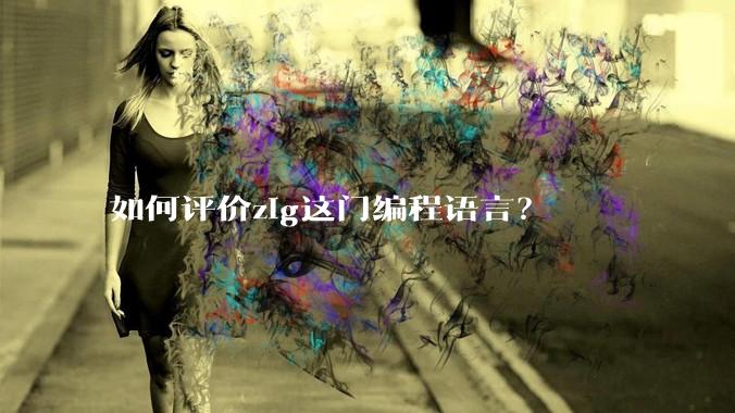 如何评价zig这门编程语言？