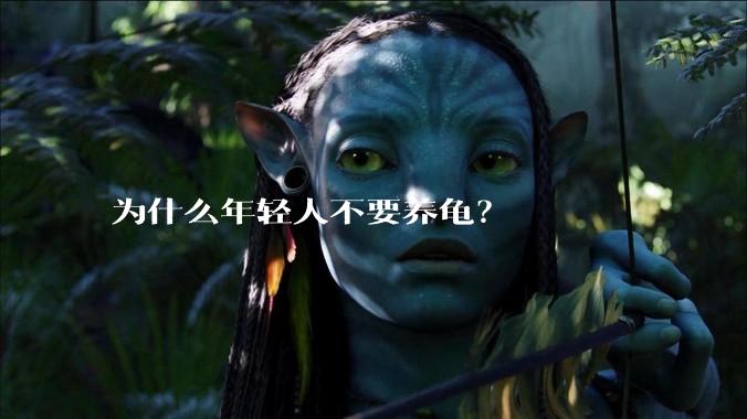 为什么年轻人不要养龟？