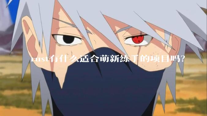 rust有什么适合萌新练手的项目吗？