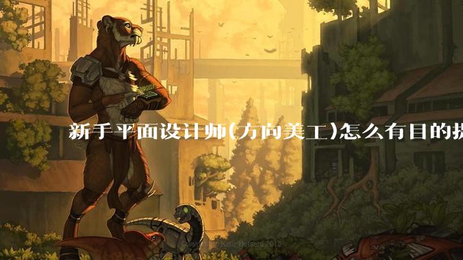 新手平面设计师(方向美工)怎么有目的提升设计能力？