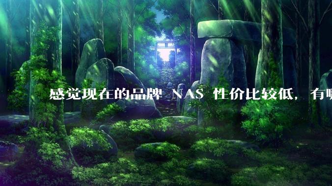 感觉现在的品牌 NAS 性价比较低，有哪些好的 DIY 方案？