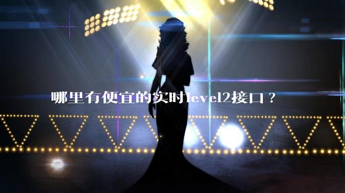 哪里有便宜的实时level2接口?