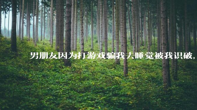 男朋友因为打游戏骗我去睡觉被我识破，然后我提了分手，他同意了，问问男孩子们他怎么想的？