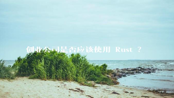创业公司是否应该使用 Rust ？
