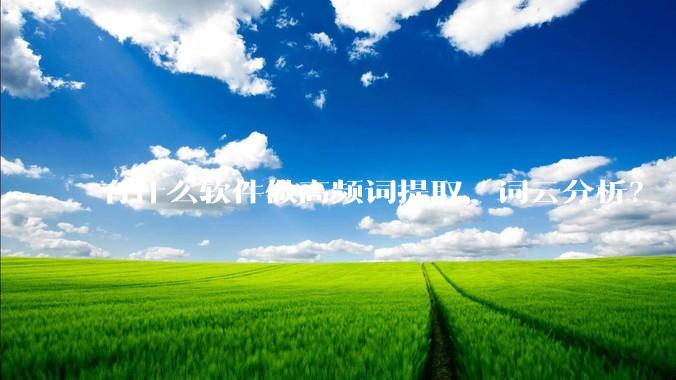有什么软件做高频词提取，词云分析？