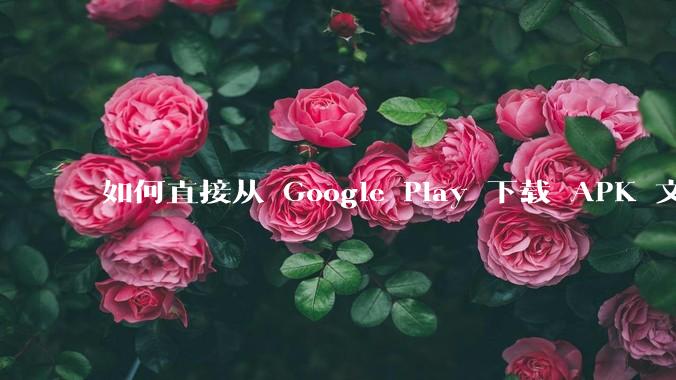 如何直接从 Google Play 下载 APK 文件？