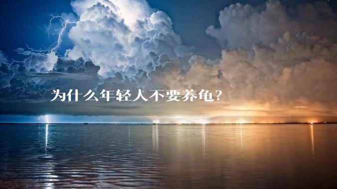 为什么年轻人不要养龟？