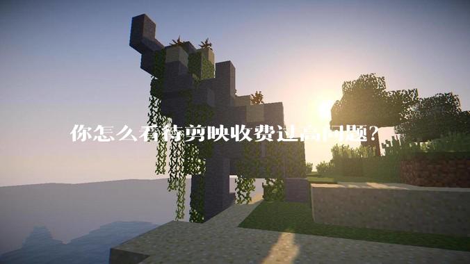 你怎么看待剪映收费过高问题？