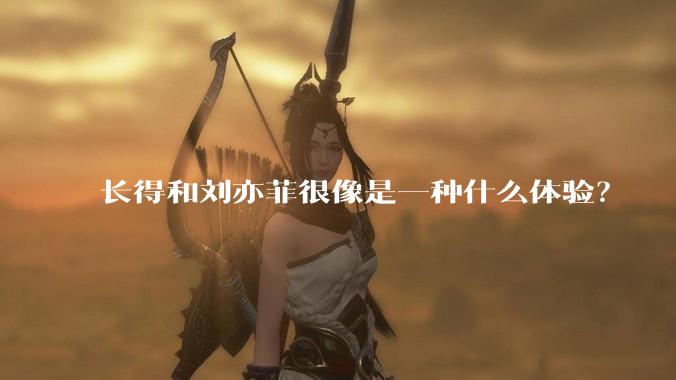 长得和刘亦菲很像是一种什么体验？
