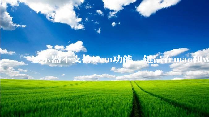 显示器不支持kvm功能，键鼠在mac和win主机中切换，是否能用type-c Hub拓展坞代替？