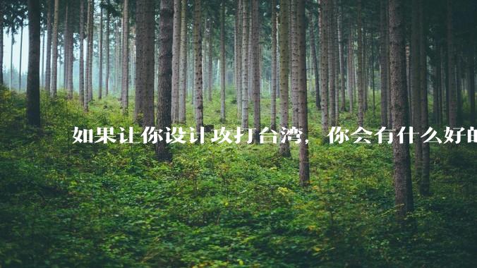 如果让你设计攻打台湾，你会有什么好的想法和打法？