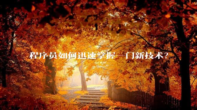 程序员如何迅速掌握一门新技术？
