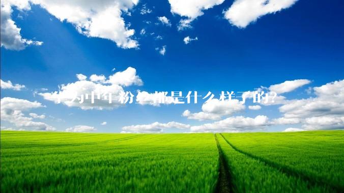 华为中年粉丝都是什么样子的？