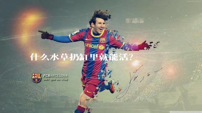什么水草扔缸里就能活？