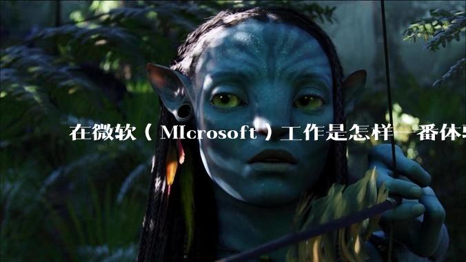 在微软（Microsoft）工作是怎样一番体验？