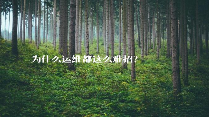 为什么运维都这么难招？