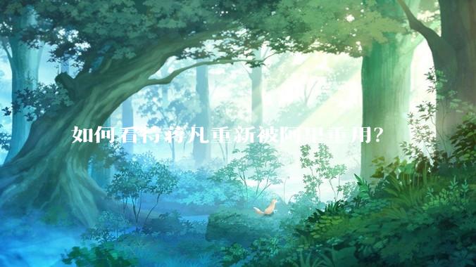 如何看待蒋凡重新被阿里重用？