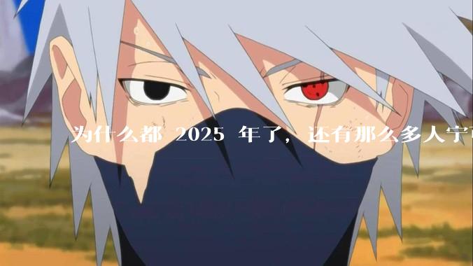 为什么都 2025 年了，还有那么多人宁可双持，也不愿意放弃安卓或非安卓手机？
