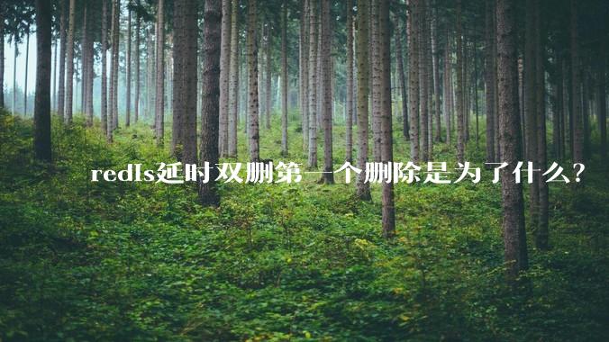 redis延时双删第一个删除是为了什么？