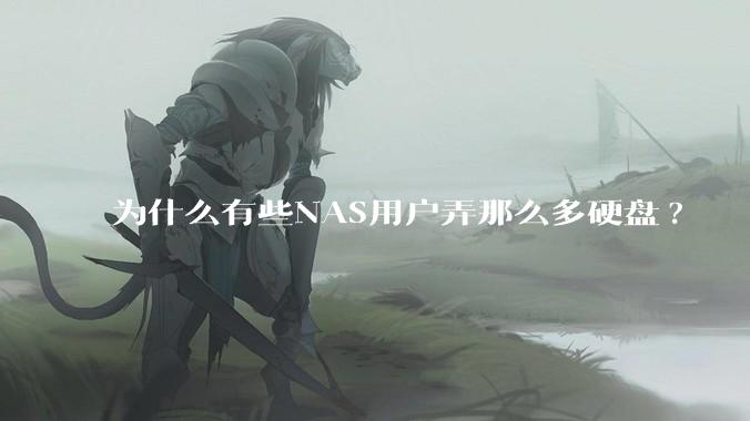 为什么有些NAS用户弄那么多硬盘?