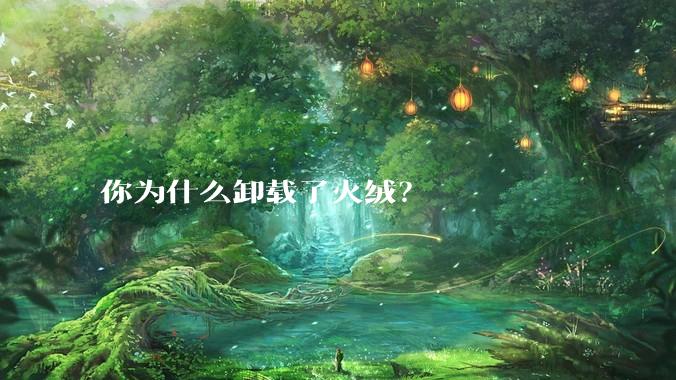 你为什么卸载了火绒？
