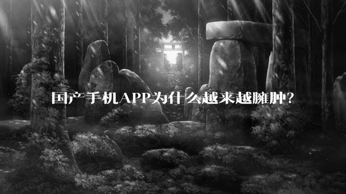 国产手机APP为什么越来越臃肿？
